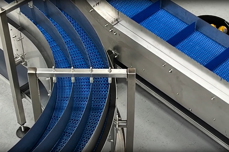 Pet Food Product Modular Belt Conveyor System